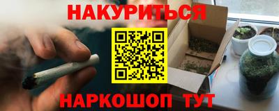 сатива Краснознаменск