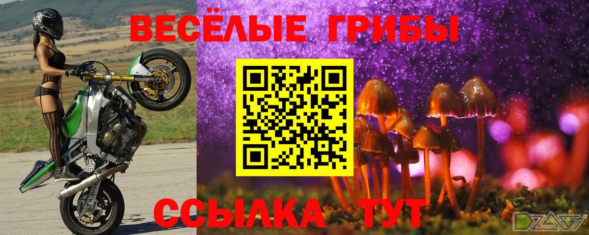 Галлюциногенные грибы Psilocybe  Вход с VPN  как найти закладки  Хабаровск 